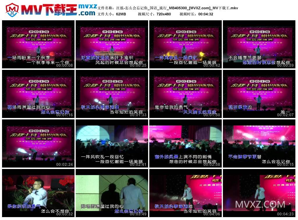 汪泓-怎么会忘记你_国语_流行_MB405300